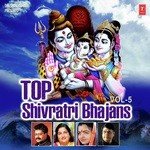 Top Shivratri Bhajans Vol - 5 - Suresh Wadkar Song Download